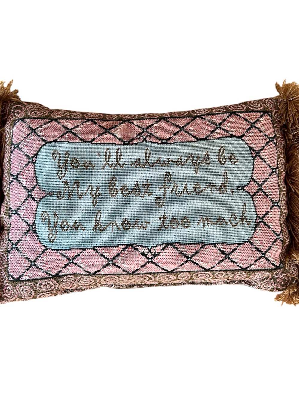 NEEDLEPOINT throw pillow-YOU WILL ALWAYS BE MY BEST FRIEND, YOU KNOW TOO MUCH